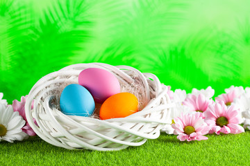 Three colored Easter eggs and flowers on green nature background