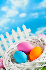Colored Easter eggs in white nest on blue sky background