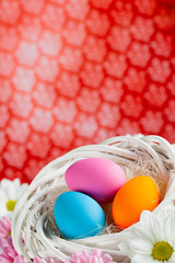 Colored Easter eggs in white nest on patterned wallpaper background