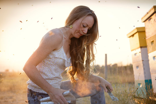 Woman beekeeper kneels by hives while bees fly around