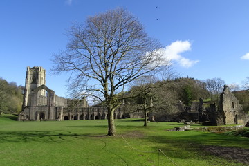 Fototapeta na wymiar Fountains Abbey, Ripon, North Yorkshire