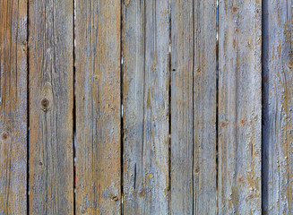 Texture of weathered old gray wooden fence