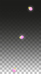 Vector Realistic Pink Petals Falling on Transparent Background.  Spring Romantic Flowers Illustration. Flying Petals. Sakura Spa Design. Blossom Confetti.