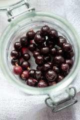 Black currants in the jar 