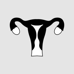 Uterus icon with ovary, cervix, fallopian tubes isolated on background. Female reproductive system.
