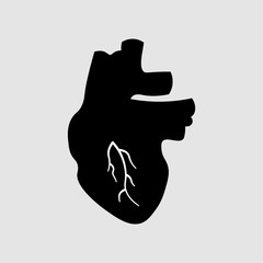 Stylized human heart anatomy icon. Medical illustration