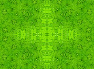 Green leaf abstract pattern