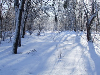 nature