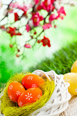 Easter eggs in the nest and wooden table on green nature background