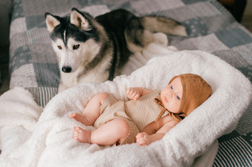 Lifestyle soft focus indoor portrait of newborn baby lying in stroller on bed together with husky puppy at home. Little child and lovely husky dog friendship. Adorable funny child resting with pet.