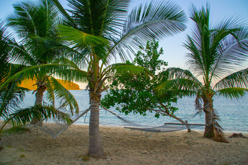 Fototapeta na wymiar View of exotic white sand beach, sun loungers, palm trees and turquoise water at Fiji Islands. Calm, relaxing, inspiring mood. Travel / summer holidays / vacation concept. Beautiful holiday background