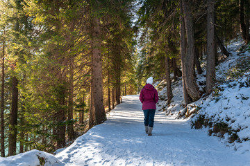 pretty girl in winter clothes walking in a forest path covered in snow.  woman walking in a park during winter on a sunny day