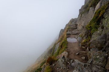 Mountain trail stone stairs puddle covered fog.