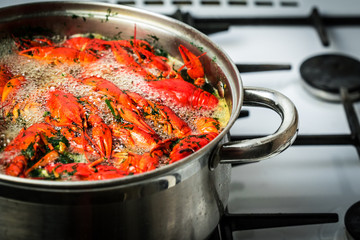 crayfish cook in water with spices and herbs.
