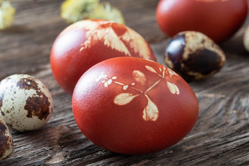 Obraz na płótnie Canvas Easter eggs dyed with onion peels and quail eggs
