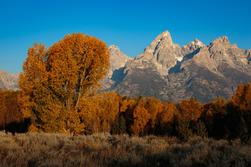 Fototapeta premium Fall Mountains