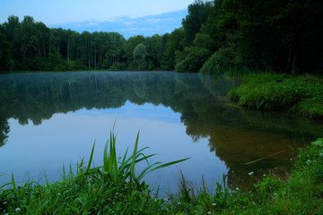 Quiet morning on the forest lake.