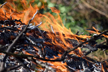 Burning Fire Firefighting Danger Nature Wood Background Stock Photo