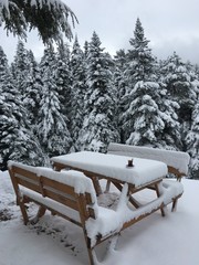 snow, winter, landscape, forest, cold, mountain, tree, sky, trees, nature, white, ice, mountains, frost, blue, season, snowy, christmas, ski, beautiful, scene, fir, cloud, alps, frozen