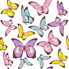 pattern beautiful color butterflies set