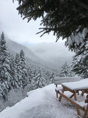 snow, winter, landscape, forest, cold, mountain, tree, sky, trees, nature, white, ice, mountains, frost, blue, season, snowy, christmas, ski, beautiful, scene, fir, cloud, alps, frozen