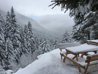 snow, winter, landscape, forest, cold, mountain, tree, sky, trees, nature, white, ice, mountains, frost, blue, season, snowy, christmas, ski, beautiful, scene, fir, cloud, alps, frozen