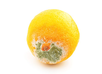 Molded lemon on white