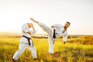 Two karate fighters, kick in the stomach © Nomad_Soul