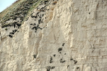 Cape Chirakman Great White Rock Closeup Bulgaria Stock Photo