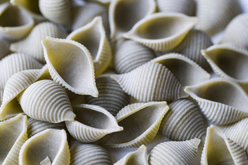 close up green  shell pasta called 