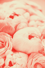 Fototapeta na wymiar Fresh bunch of pink peonies and roses