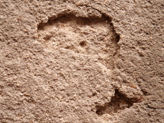 Astralia and New Zealand