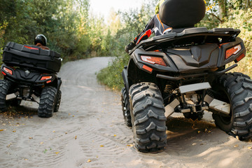 Two quad bike riders rides in forest, back view