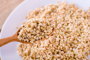 Green germinated buckwheat on a wooden spoon. Raw buckwheat. Useful food from buckwheat sprouts