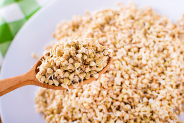 Green germinated buckwheat on a wooden spoon. Raw buckwheat. Useful food from buckwheat sprouts