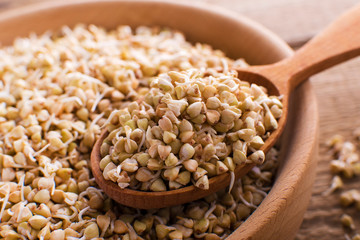 fresh green sprouts buckwheat in wooden bowl closeup