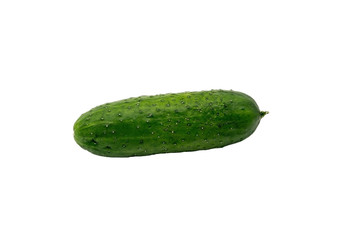 Green fresh cucumber. Isolate on white background.