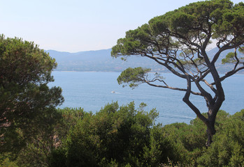 Fototapeta na wymiar Great view of the Gulf of Saint-Tropez from a hill on a sunny summer day.
