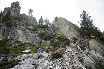 Half Dome Rock Landscape Meadow in Austria 