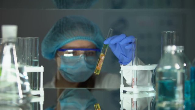 Biologist adding liquid in tube with meat sample and writing results, medication