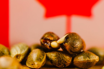 Medical Cannabis Seeds - macro view of thc cbd medical seeds on Canada flag and piece of oak wood.
