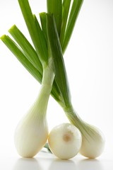 Green onion fresh food vegetable ingredient,  vegetarian.