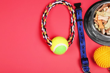 Flat lay composition with accessories for dog and cat.