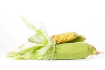 Corn vegetable isolated on white, food,  maize.
