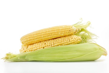 Corn vegetable isolated on white, food,  yellow.