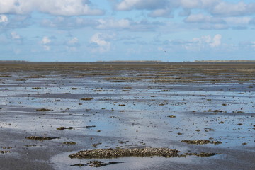 Low tide in the Wadden Sea world natural heritage site, North Sea