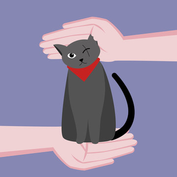 One-eyed cute cat is disabled. Caring for a cat. Hands around the cat. Vector flat cartoon illustration. On blue background