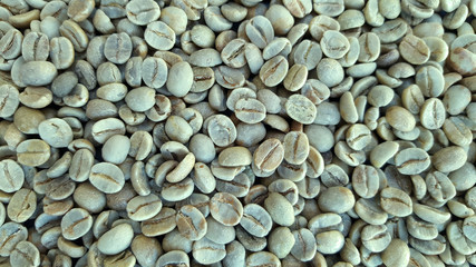 Green coffee beans
