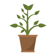 Plant in pot cartoon