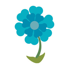 Beautiful flower cartoon isolated